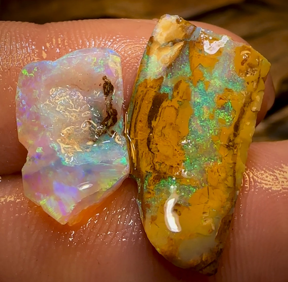 Cut or Carve Combo 12.1cts - Yowah Nut Crystal Centre and Opal Wood Rough Pair