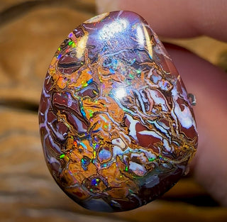 18,5 carats - Opale Boulder Tribale de Koroit