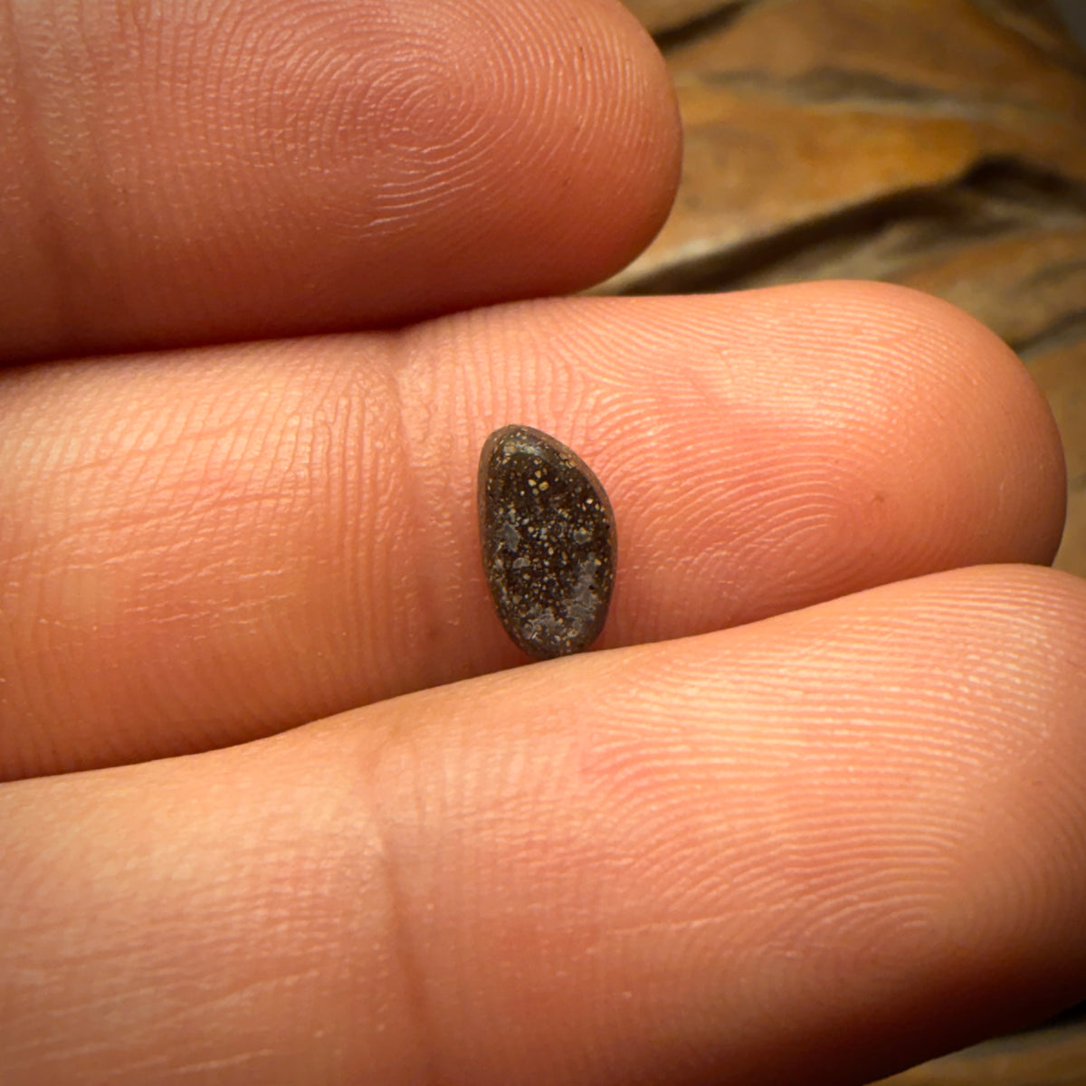 1cts - Australian Boulder Seam Opal