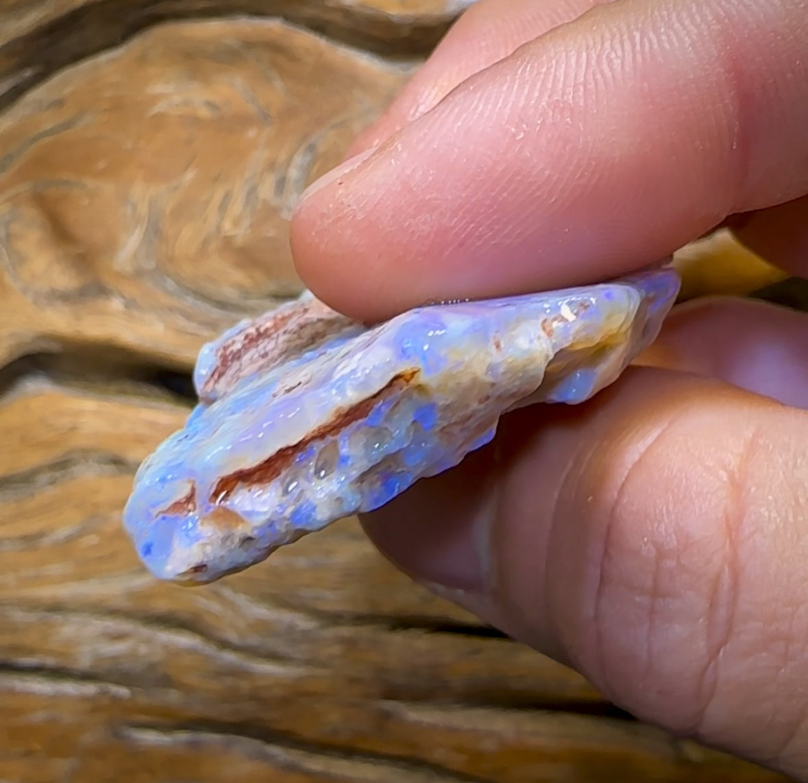 115.5cts - Lightning Ridge Opal Rough Piece. ISAACS CHOICE