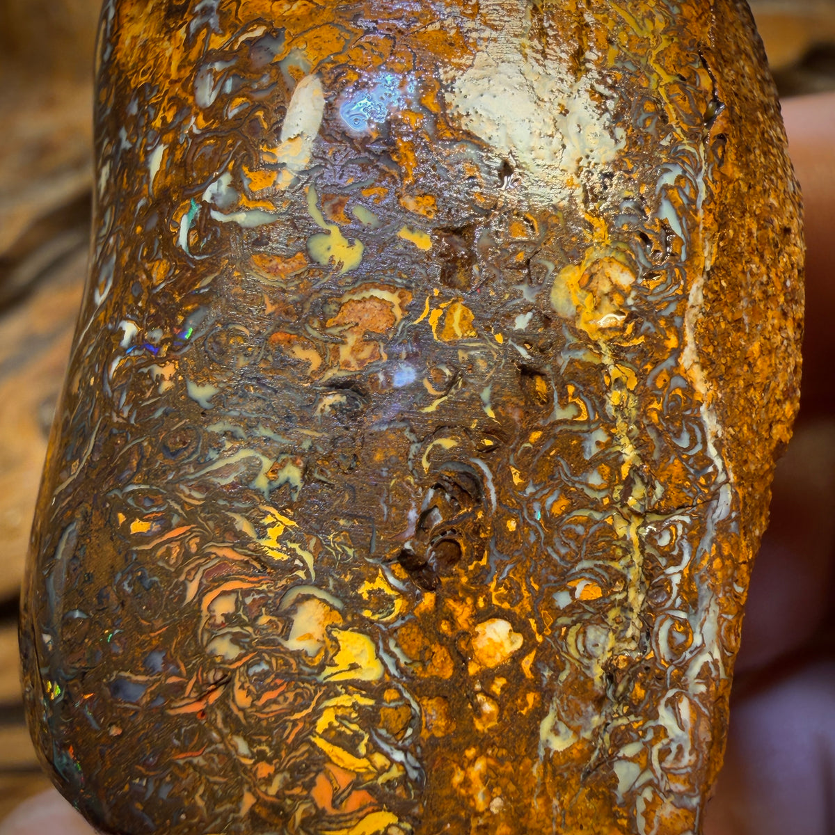 Wild Card! Massive! 457.5cts - Tribal Yowah Nut Opal Rough Piece