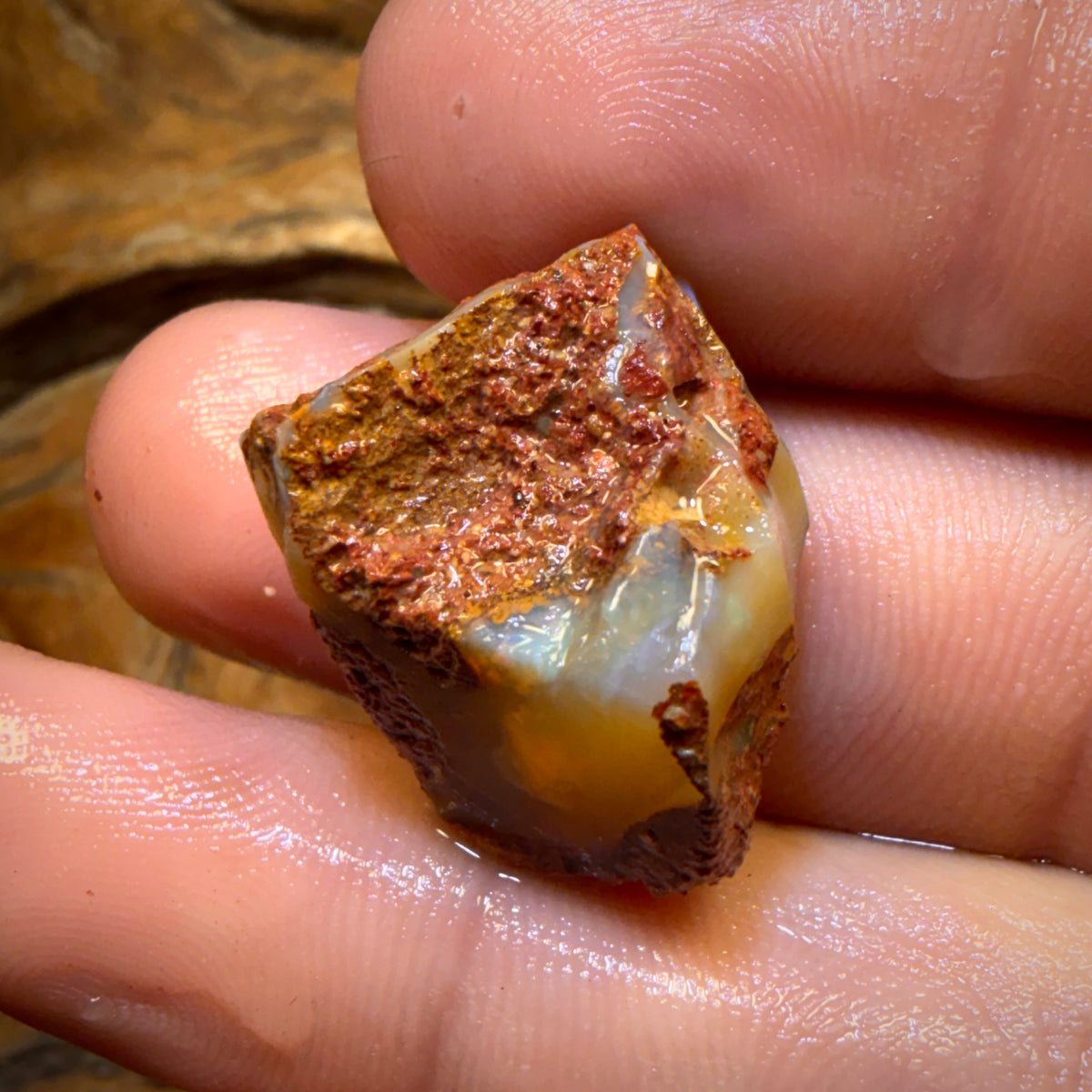 27.7cts - Boulder Pipe Opal Rough Piece. Australian Opal