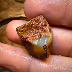 27.7cts - Boulder Pipe Opal Rough Piece. Australian Opal