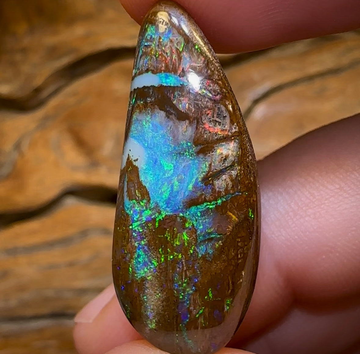 32.5cts - Magnificent Wood Fossil Opal from Yowah - Opal Whisperers