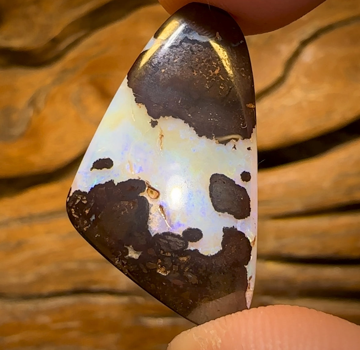 20.5cts - Yowah Nut Crystal Centre Opal. Australian Boulder Opal