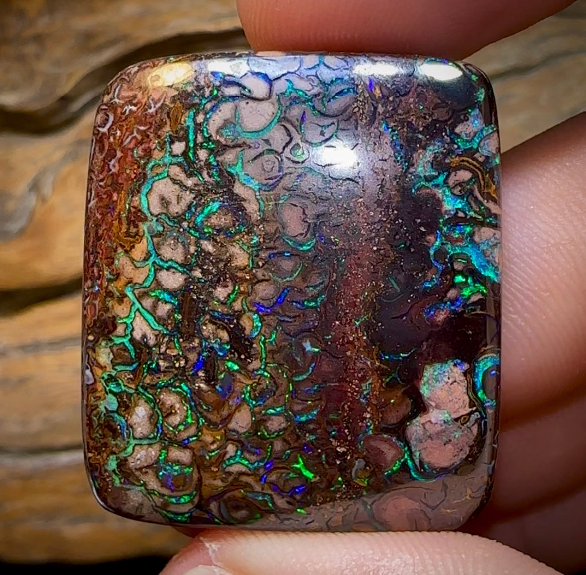(Template) 121.6cts - Tribal Koroit Nut Opal. Australian Boulder Opal - Opal Whisperers
