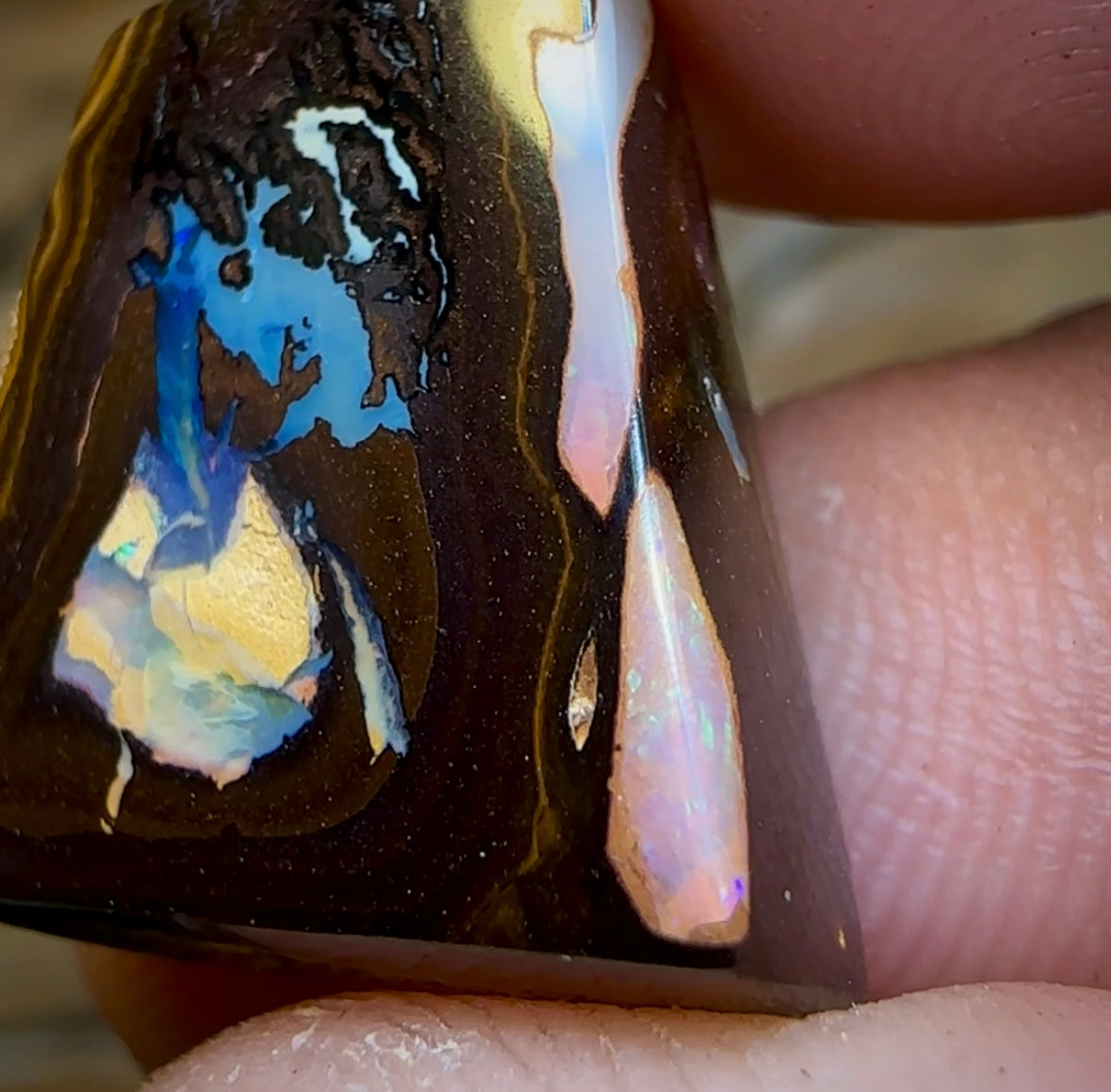 19.3cts - “Elvis” Picture Stone Polished Koroit Nut Opal Specimen with Kernel - Opal Whisperers