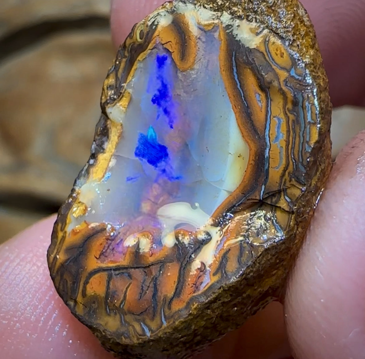 44.3cts - Yowah Nut Crystal Centre Rough Specimen