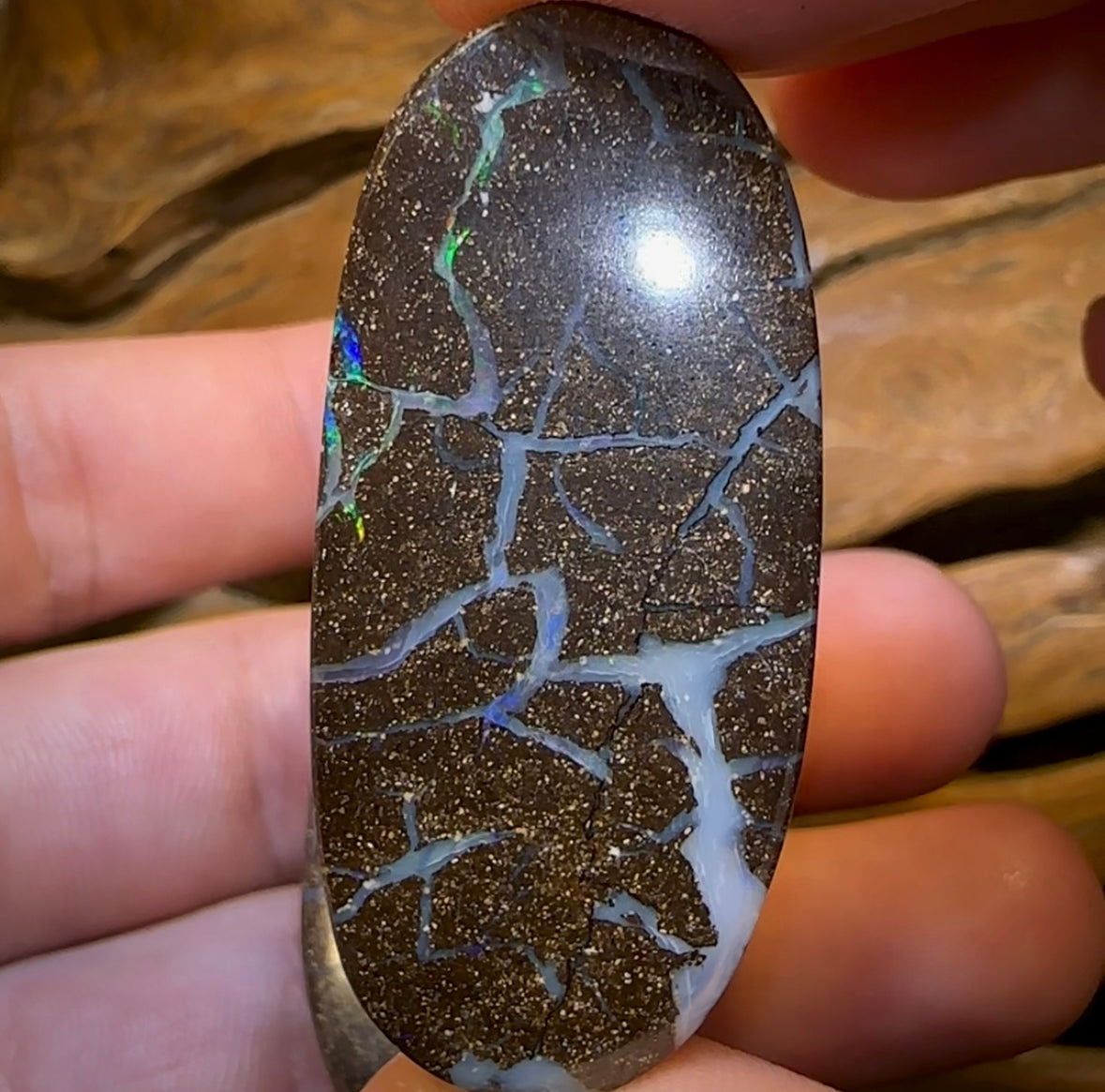 173.4cts - Australian Boulder Opal Set. Winton Seam Opal. Double Sided - Opal Whisperers