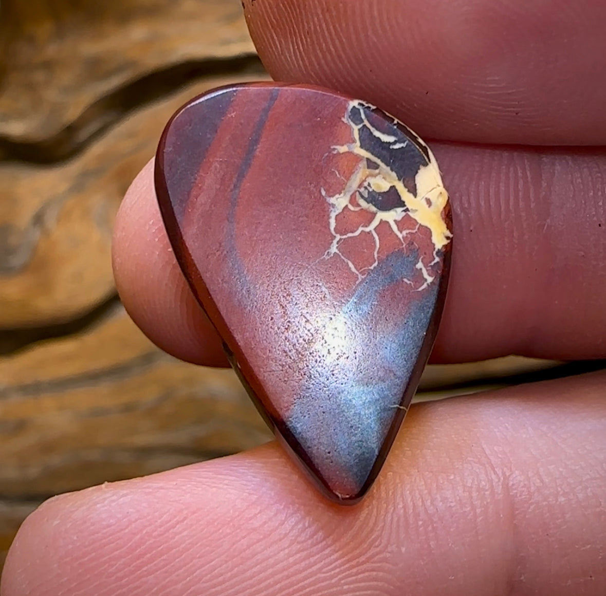 19.3cts - Top Tribal Pattern Koroit Nut Opal - Opal Whisperers