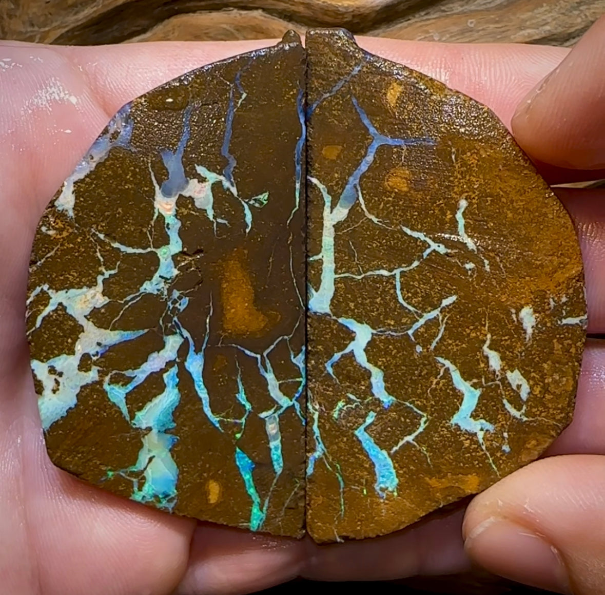 262.2cts - Large Australian Boulder Opal Rough Pair - Opal Whisperers