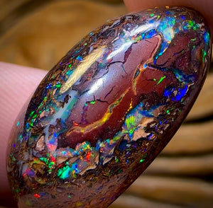 “Set in Stone” - Private Collector Investment - 31.2cts - “Celebrity Stone” TOP GEM Tribal Yowah Nut Opal MULTISIDED! Featured on “Outback Opal Hunters”!