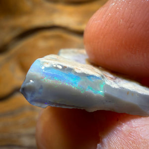 15.1cts - Lightning Ridge Dark Opal Rough Piece