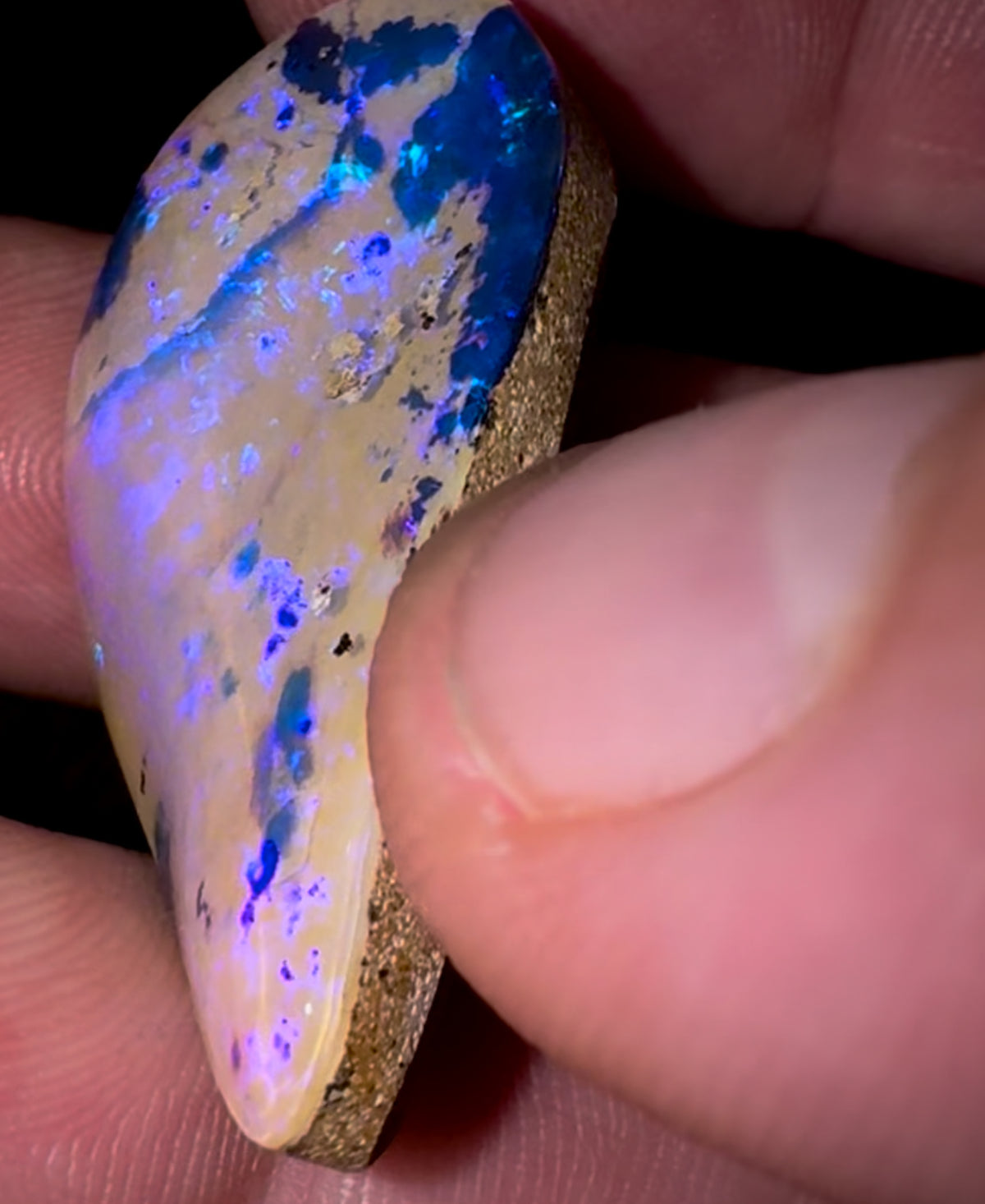 43.80cts - Big Reef Pattern Solid Boulder Pipe Opal - Opal Whisperers