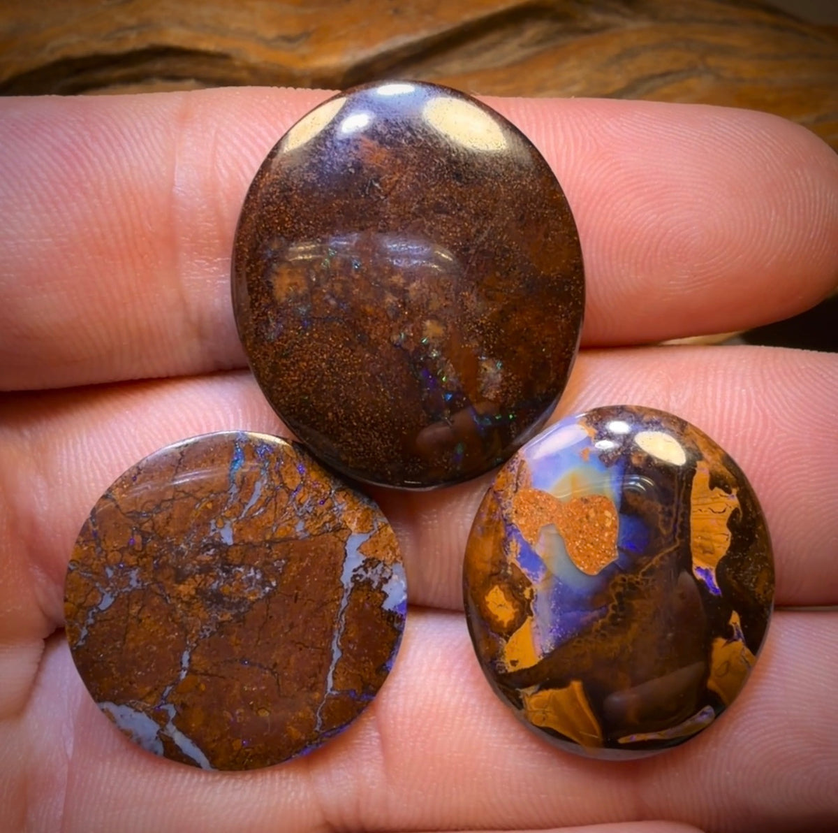 49.3cts - 3x Australian Boulder Opal’s. Wholesale Dealers Parcel Bargain