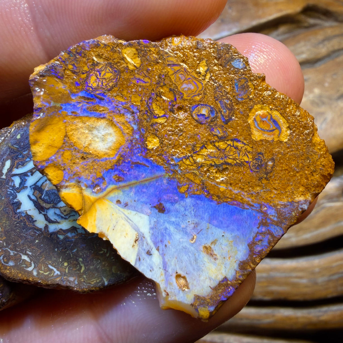 TGIF 307.3cts - 5x Yowah Nut Opal Rough Parcel. Australian Boulder Opal