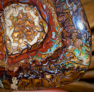 68.1cts - Top Tribal Yowah Nut Opal. Australian Opal