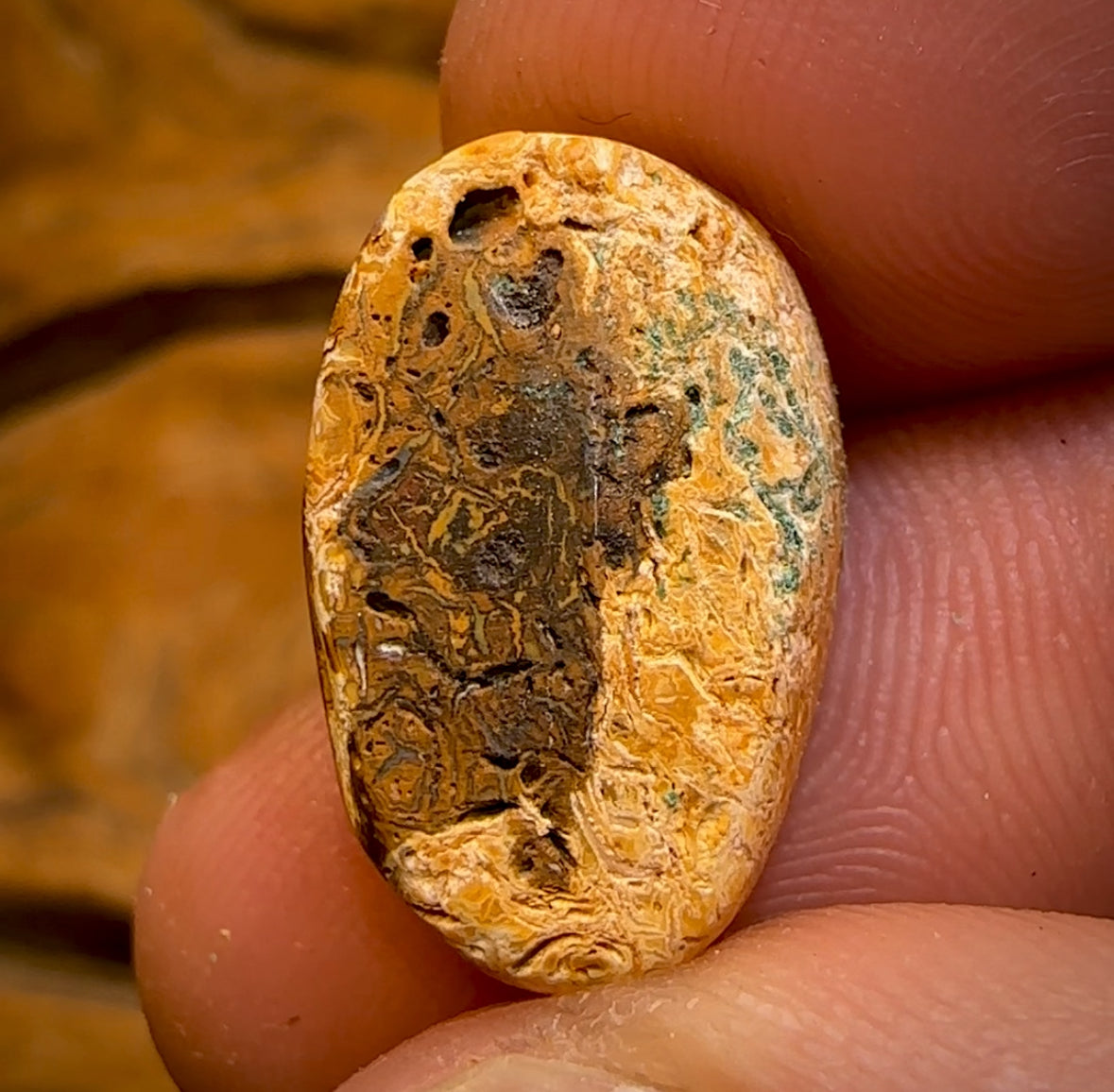 13.6cts - RARE Yowah Nut Crystal Centre Opal Rub Featured on “Outback Opal Hunters”!