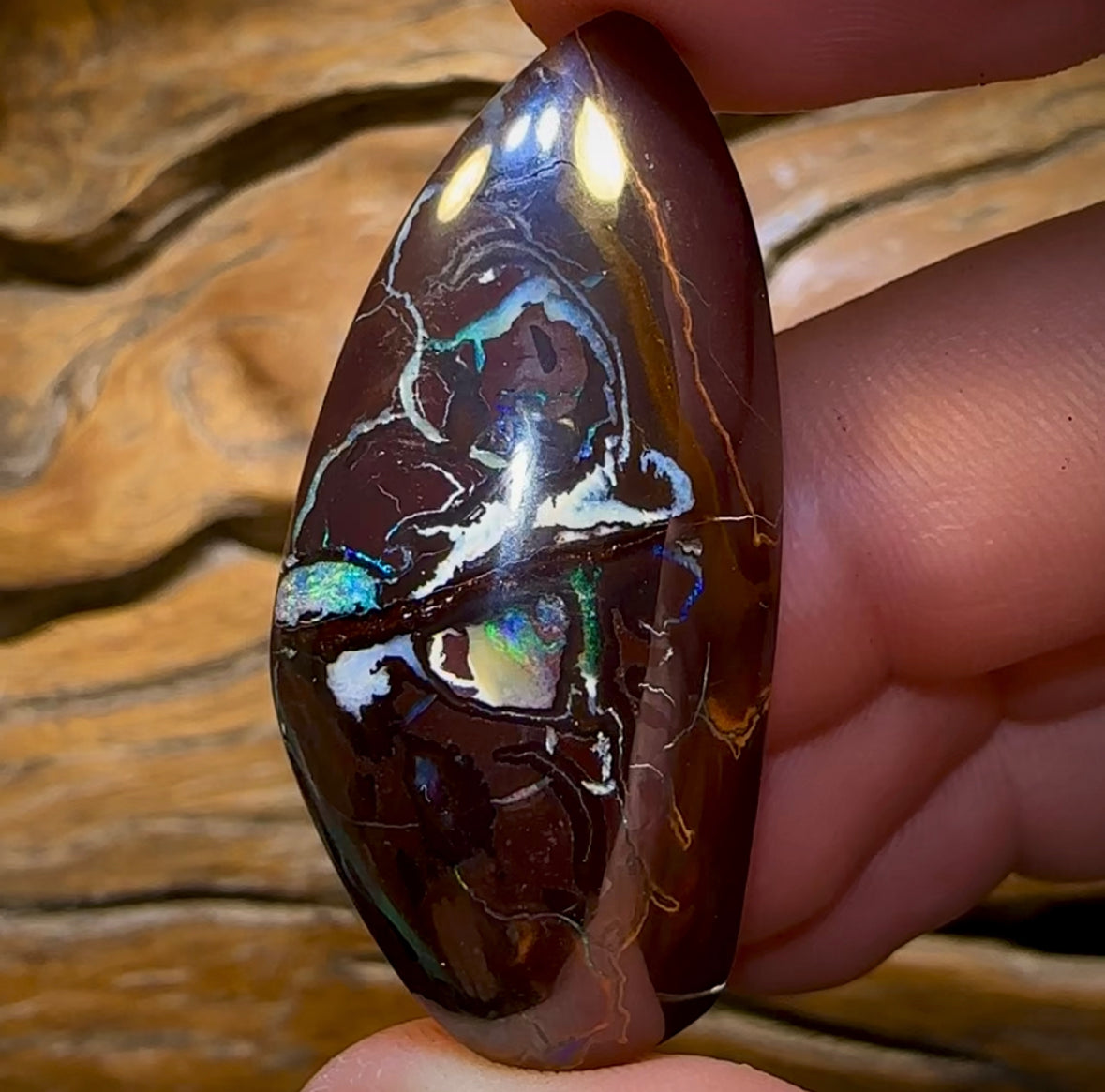 90.3cts - Big Yowah Nut Polished Specimen. Australian Boulder Opal - Opal Whisperers
