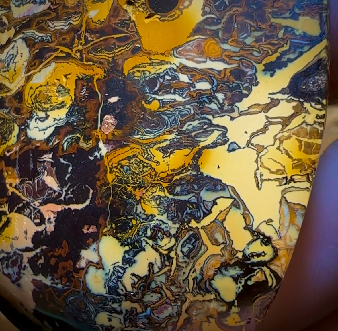 898.5cts - XLarge Tribal Queensland Boulder Opal. Polished Specimen ARTISTIC BARGAIN