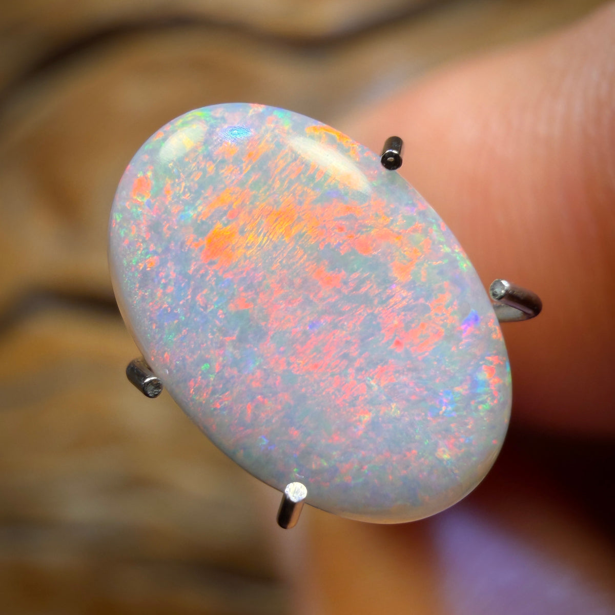 🔨 AUCTION 🔨 1.6cts - Rare Mintabie Australian Dark Opal