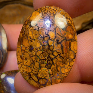 🔒 174.7cts - 5x Australian Tribal Boulder Opal’s. Wholesale Dealers Parcel