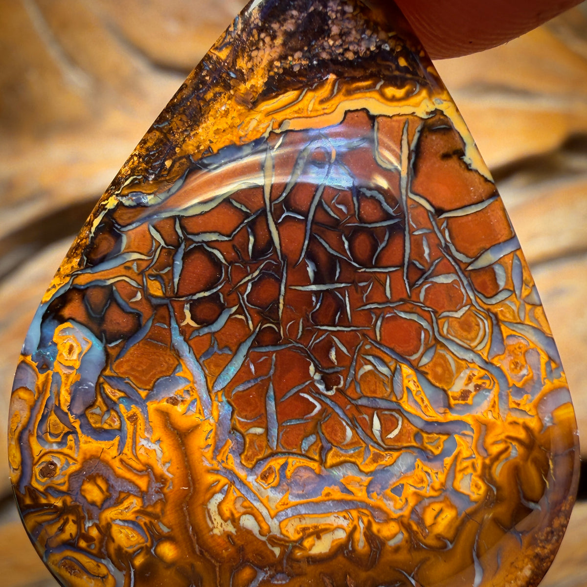 44.8cts - Top Tribal Koroit Nut Opal. Double sided