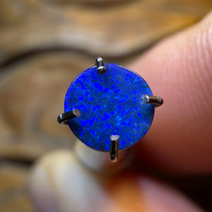 📣 OPALFEST 🔨 AUCTION 🔨 No Reserve 0.4cts - Australian Boulder Opal Doublet