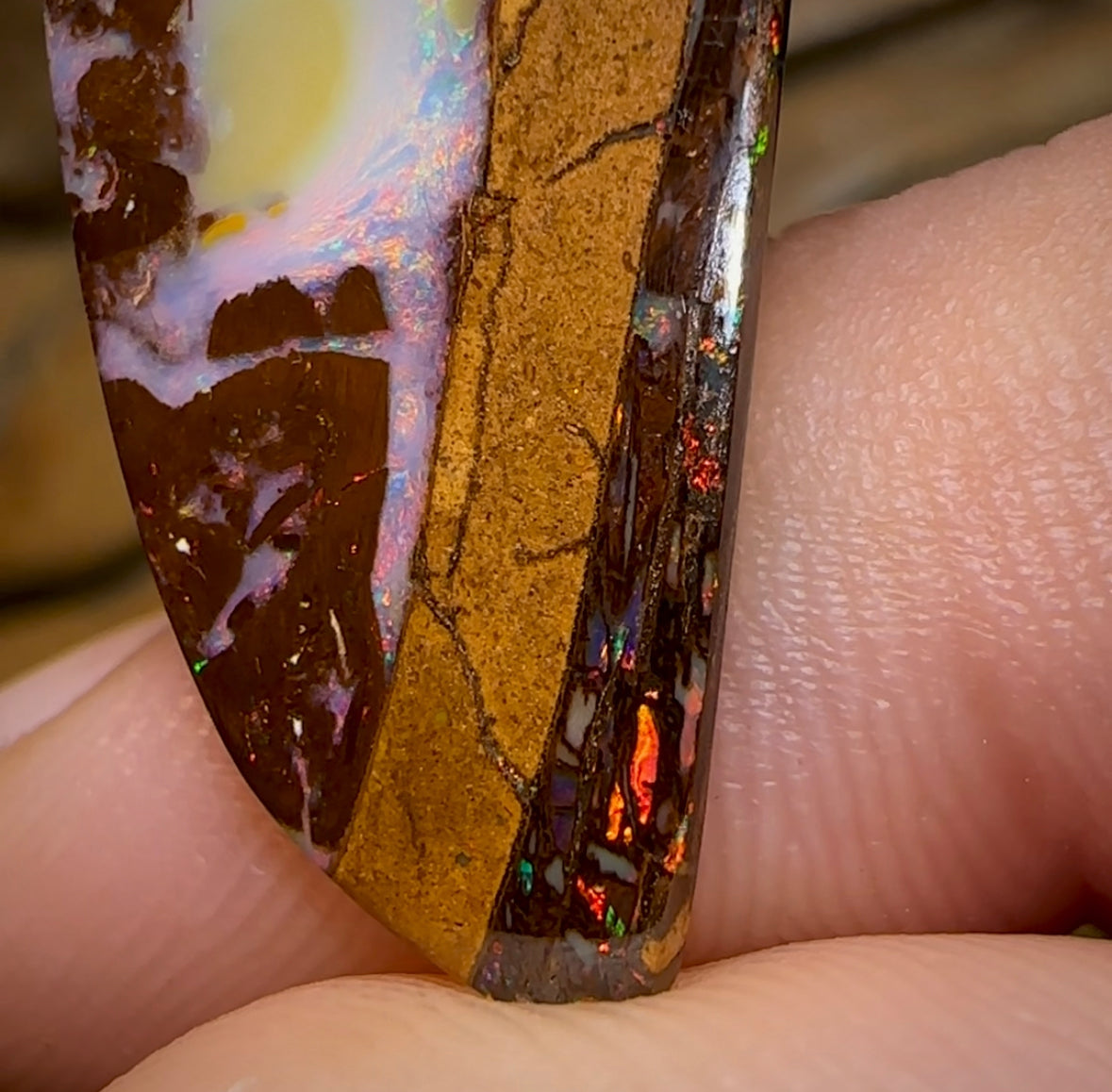 15.4cts - Australian Boulder Wood Fossil Replacement Opal - Opal Whisperers
