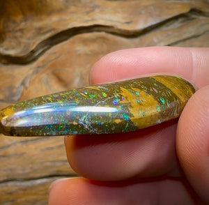 49cts - Queensland Boulder Opal from Yowah. Unique Tight Conglomerate.