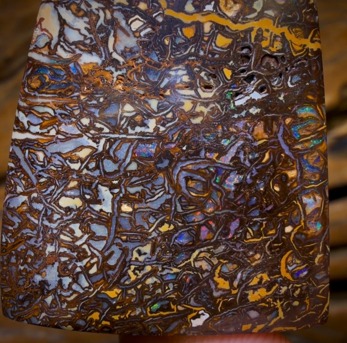 213.3cts - Tribal Australian Boulder Opal. Polished Specimen