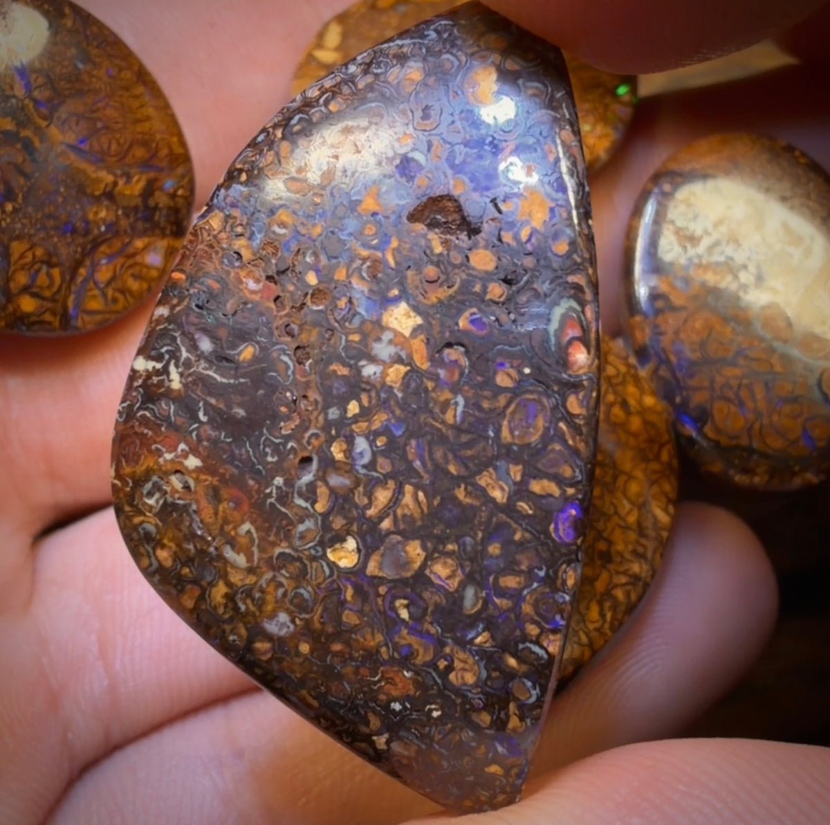 157.1cts - 5x Australian Tribal Boulder Opal’s. Wholesale Dealers Parcel