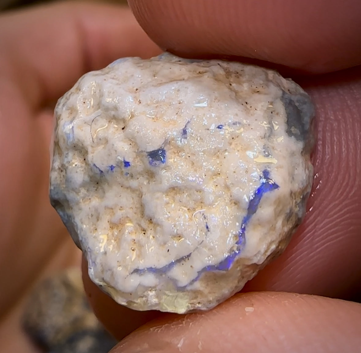 278.7cts - 36x Lightning Ridge Opal Rough Parcel. Potch and Colour