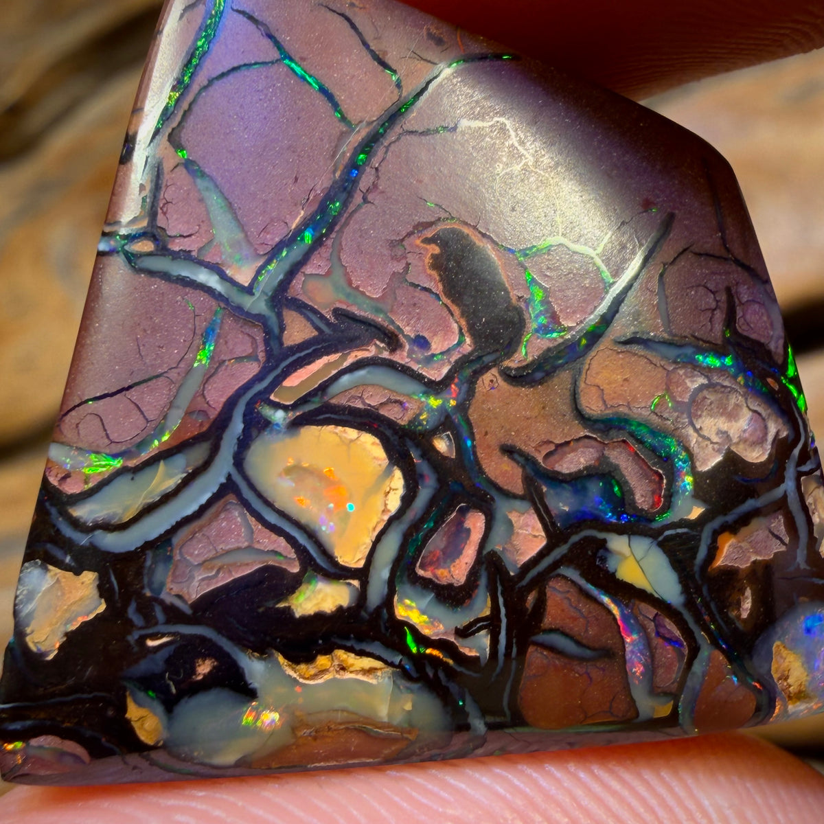 58.2cts -Top Tribal Queensland Boulder Opal from Yowah