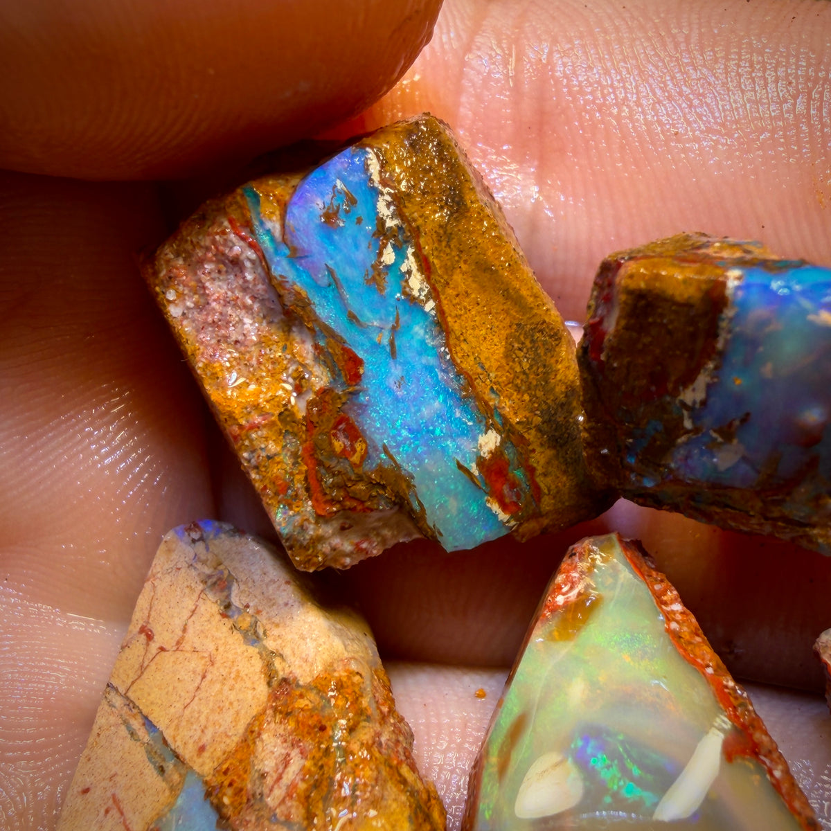 127.1cts - 6x Queensland Boulder Pipe Opal Rough Pieces