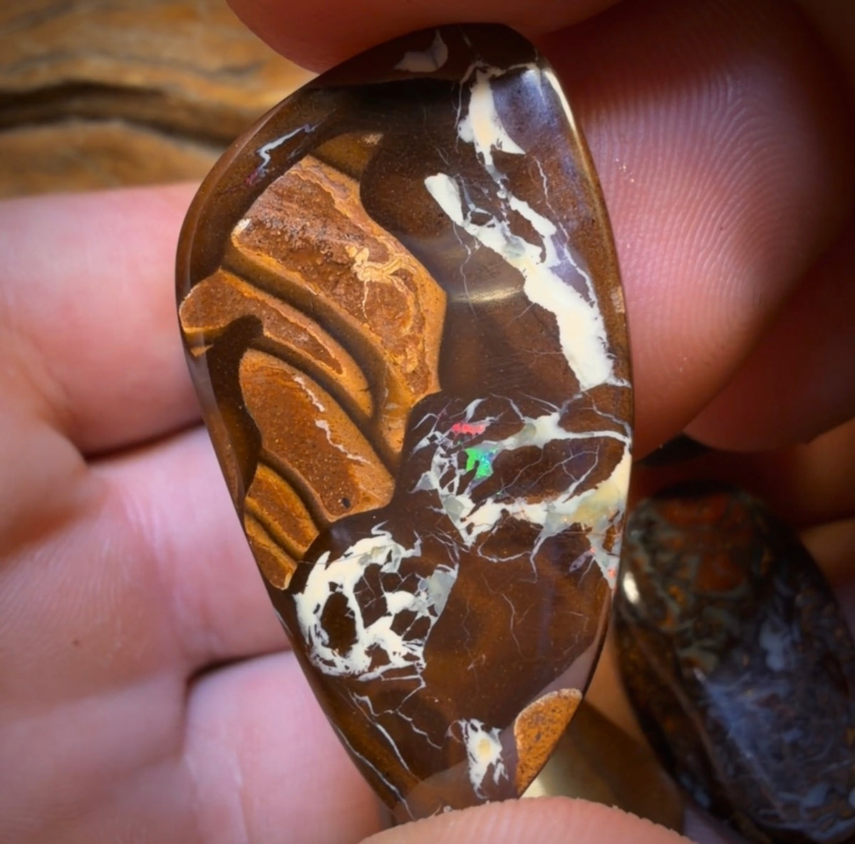 157.2cts - 5x Australian Boulder Opal’s. Wholesale Dealers Parcel