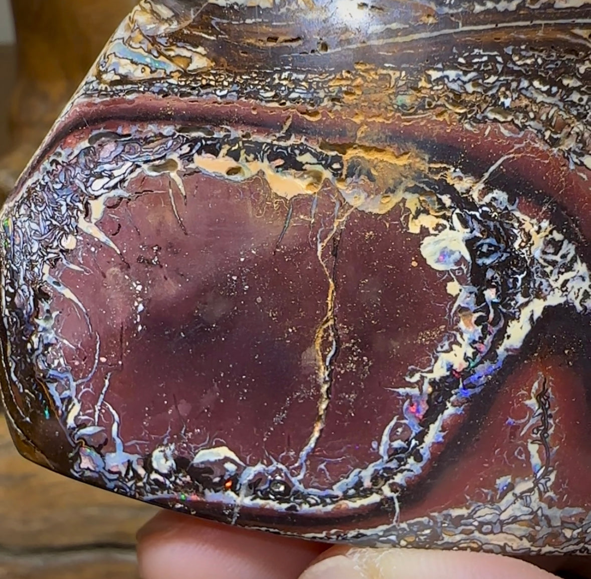 544cts - Yowah Tribal Australian Boulder Opal Specimen Polished - Opal Whisperers