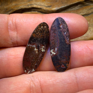 25.3cts - Stammes Boulder-Opal-Paar aus Queensland