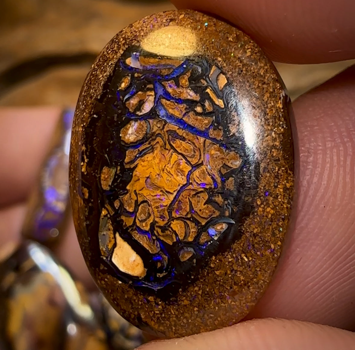 🔒115.6cts - 6x Great Tribal Queensland Boulder Opal Parcel. Yowah Nut Parcel