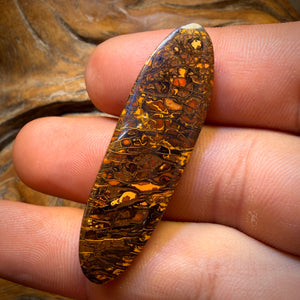 44cts - Awesome Tribal Koroit Nut Opal. Australian Opal