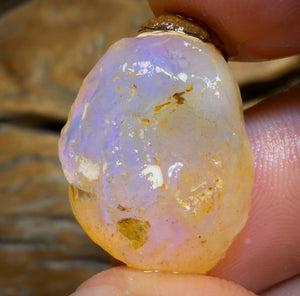 22.6cts - Rare Yowah Nut Crystal Centre Opal Rough Geological Specimen. Naturally Deshelled Wow!
