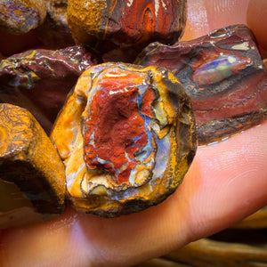 🔨 AUCTION 🔨 465cts - 11x Yowah Nut Rough Opal Parcel. Australian Boulder Opal