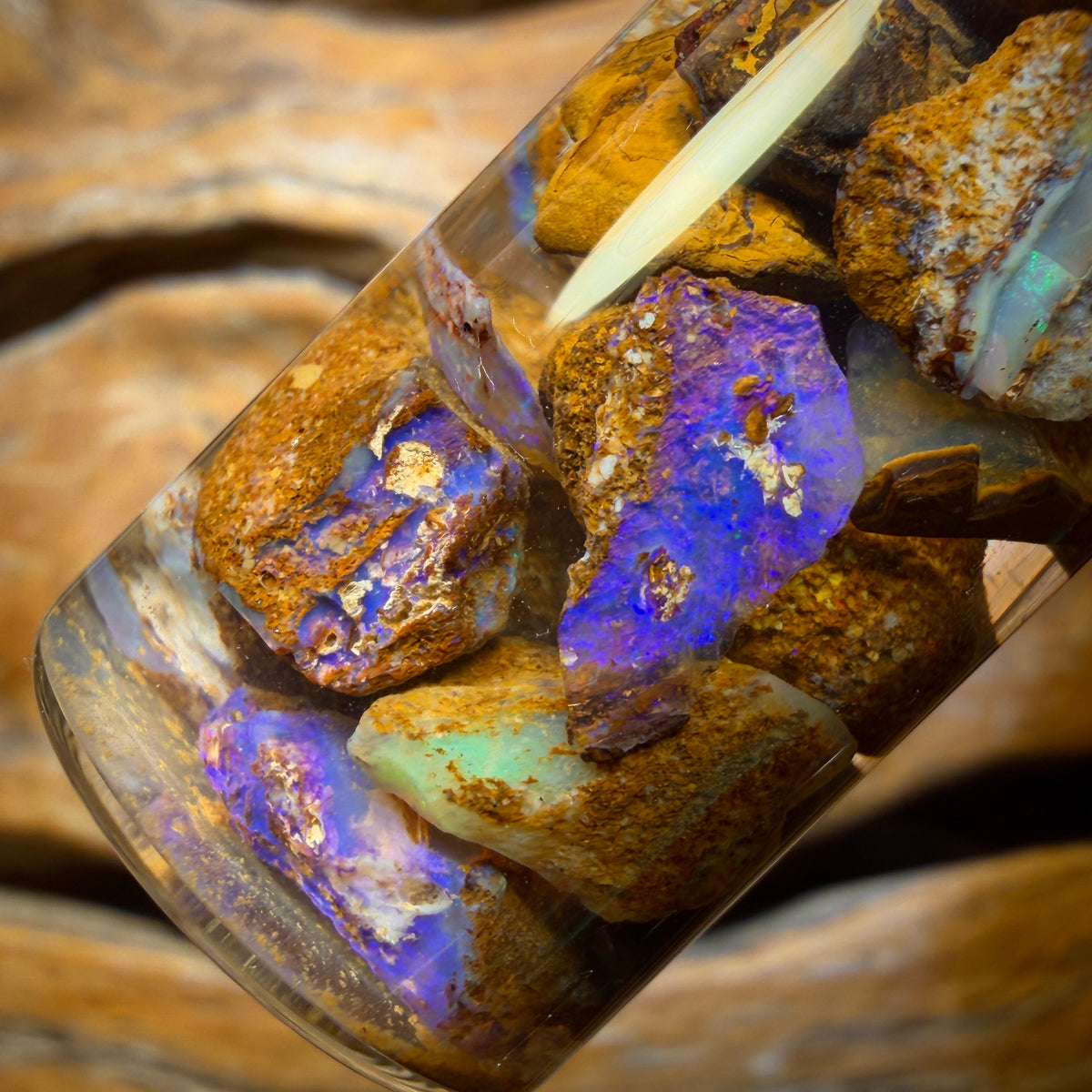 69.4cts - Jar of Yowah Nut Opal Rough w/ Fossil Opal