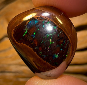 30.7cts - Yowah Nut Black Center Tribal Kernel Opal. Australian Boulder Opal