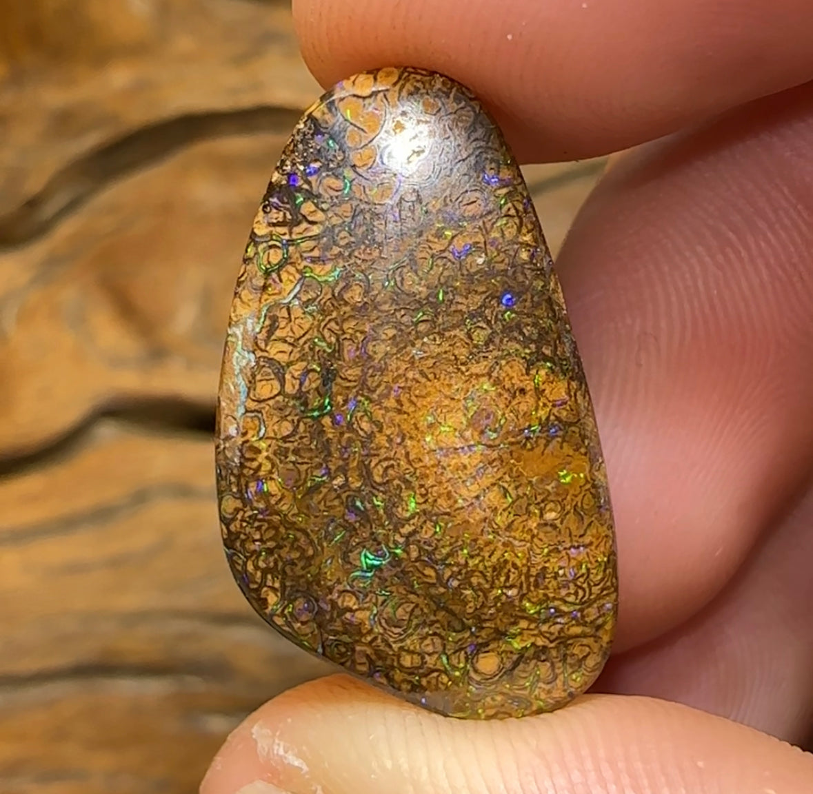 29.8cts - Yowah Boulder Opal. Australian Opal with Electric Tight Tan Tribal Pattern - Opal Whisperers