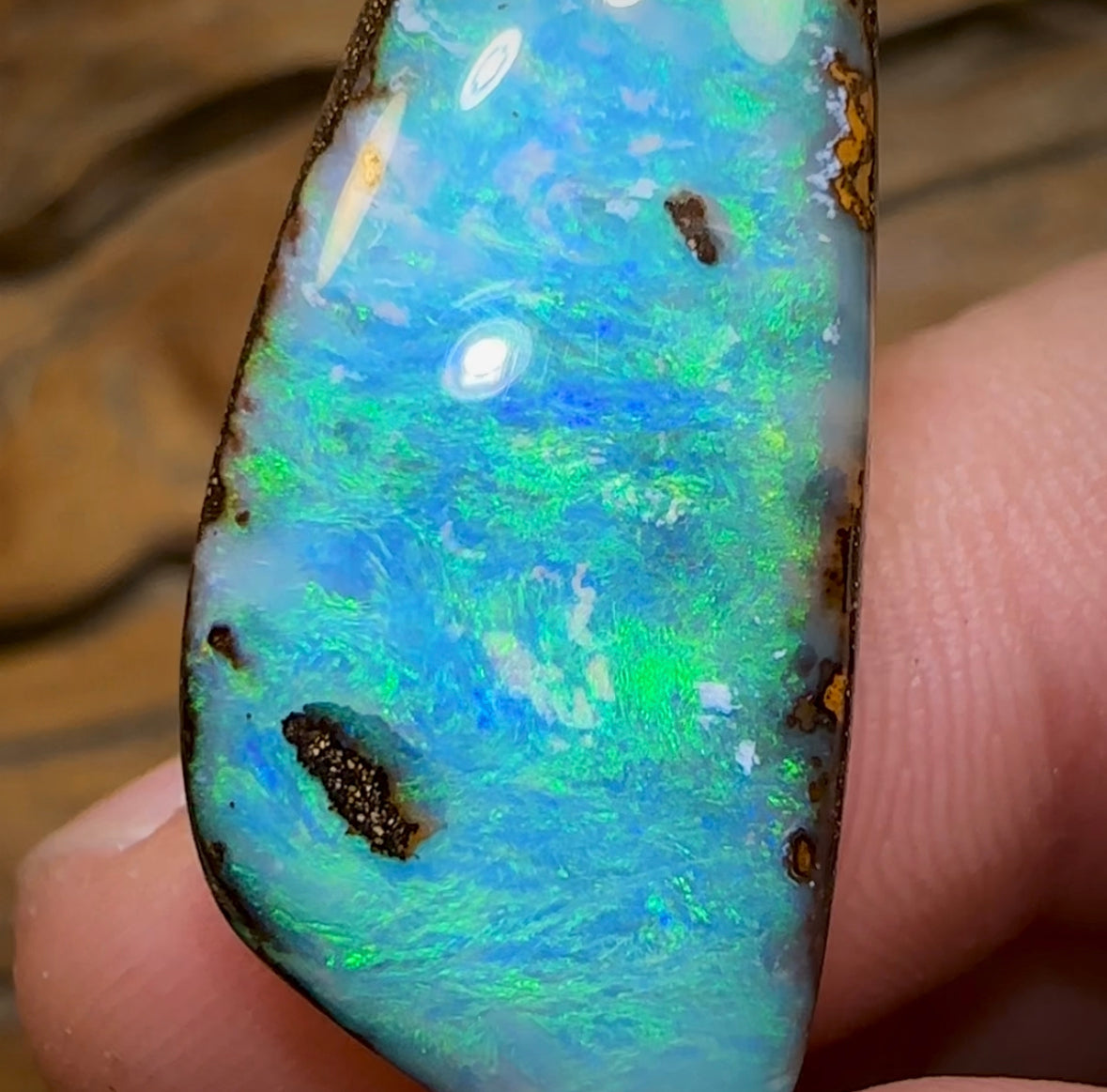 43.4cts - Big Solid Queensland Boulder Opal from Winton - Opal Whisperers