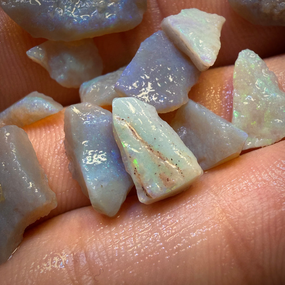 35.6cts - 13x South Australian Dark Opal Rough Parcel