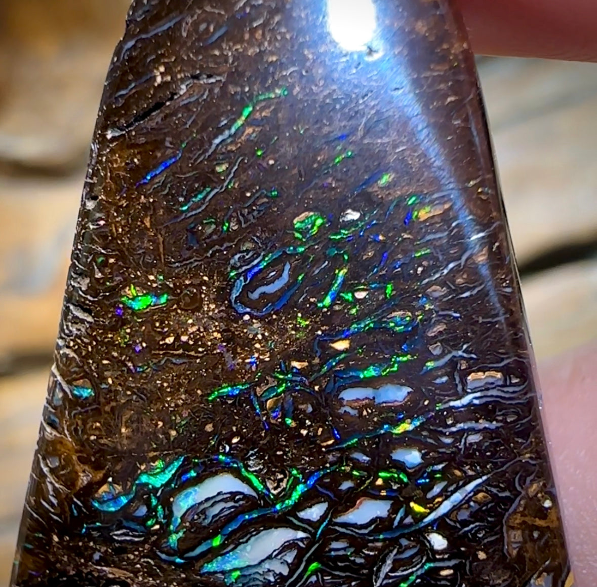 74.2cts - Black Tribal Yowah Nut Opal - Opal Whisperers