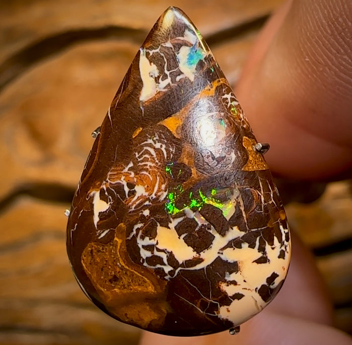 🔨 AUCTION 🔨 No Reserve 14.5cts - Yowah Nut Opal