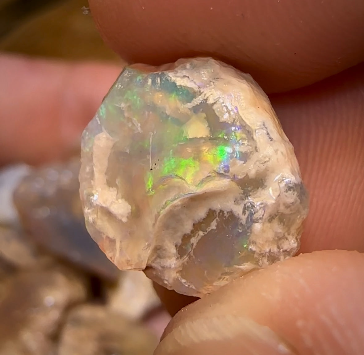 90.2cts - 12x Opalised Fossil Geological Specimens from Lightning Ridge